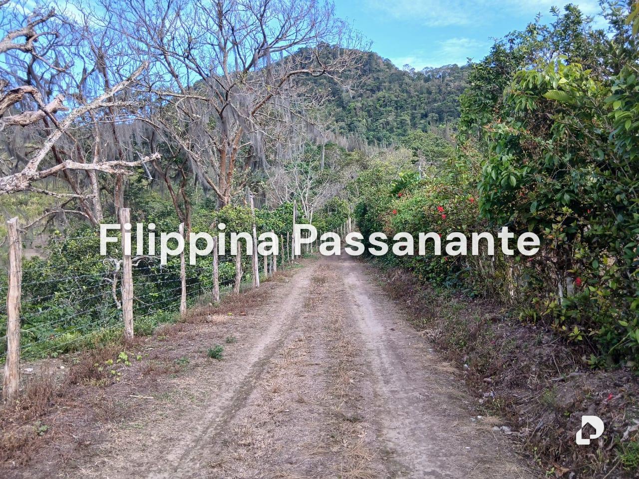 Finca en El Guácharo, Caripe – 3