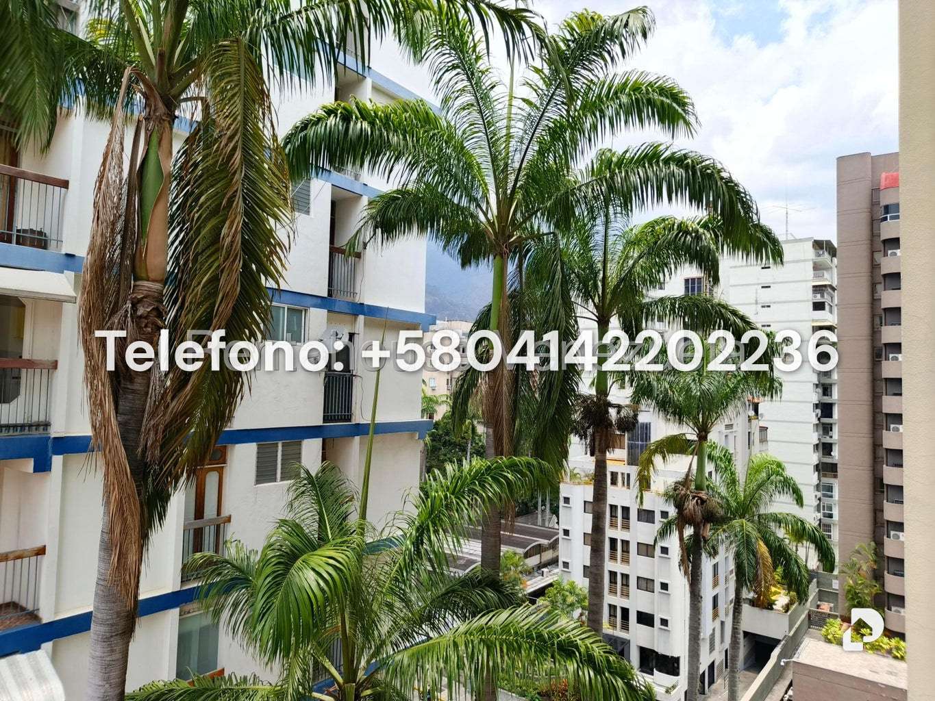 Apartment in Los Palos Grandes, Caracas – 14