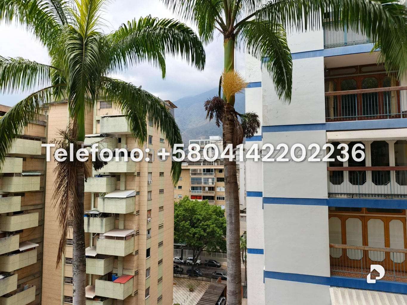 Apartment in Los Palos Grandes, Caracas – 9