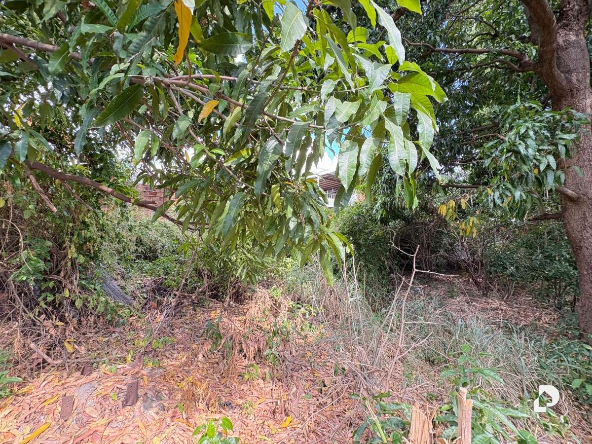 Terreno en El Toro de Las Delicias, Maracay – 4