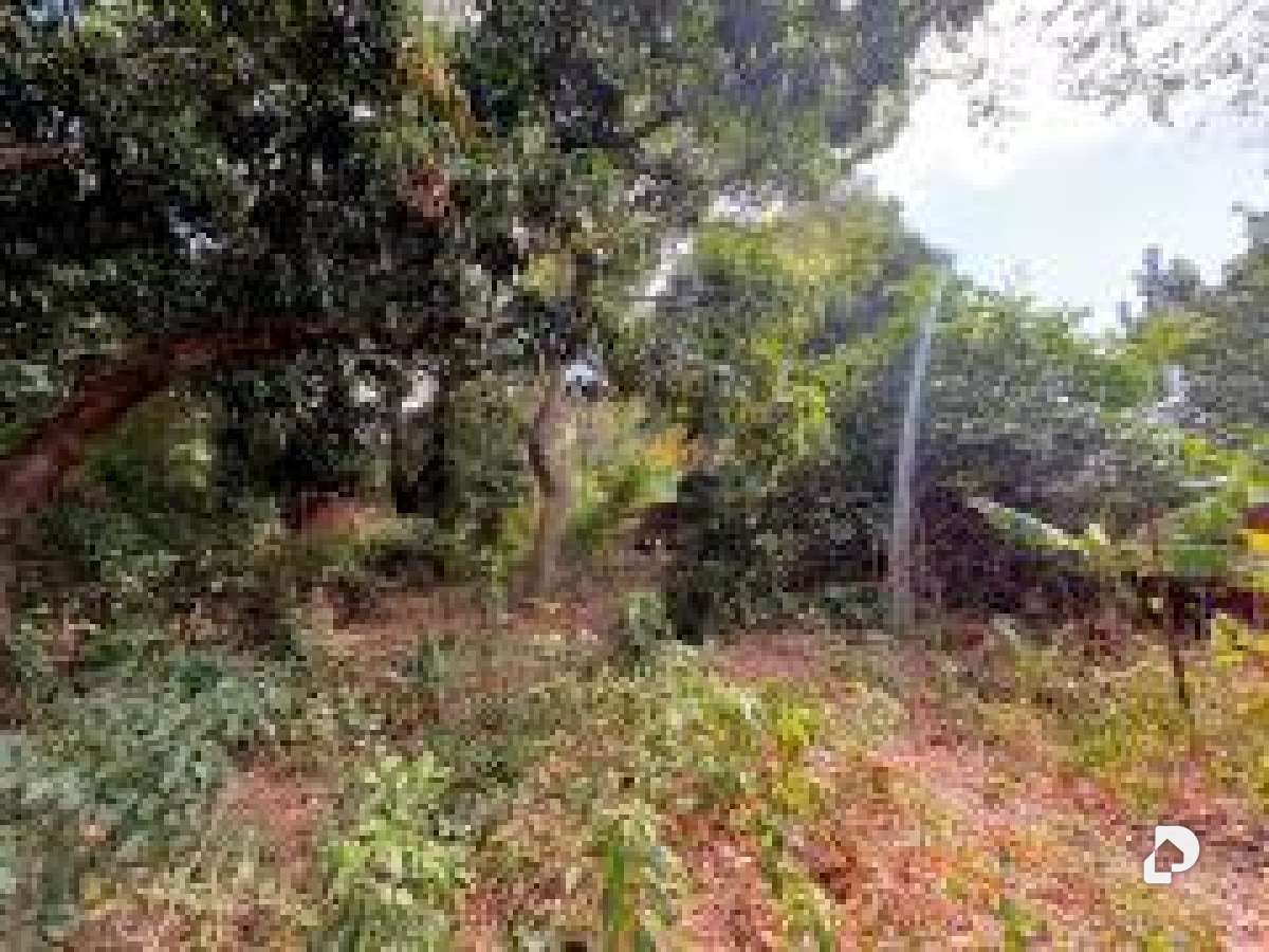 Terreno en El Toro de Las Delicias, Maracay – 11