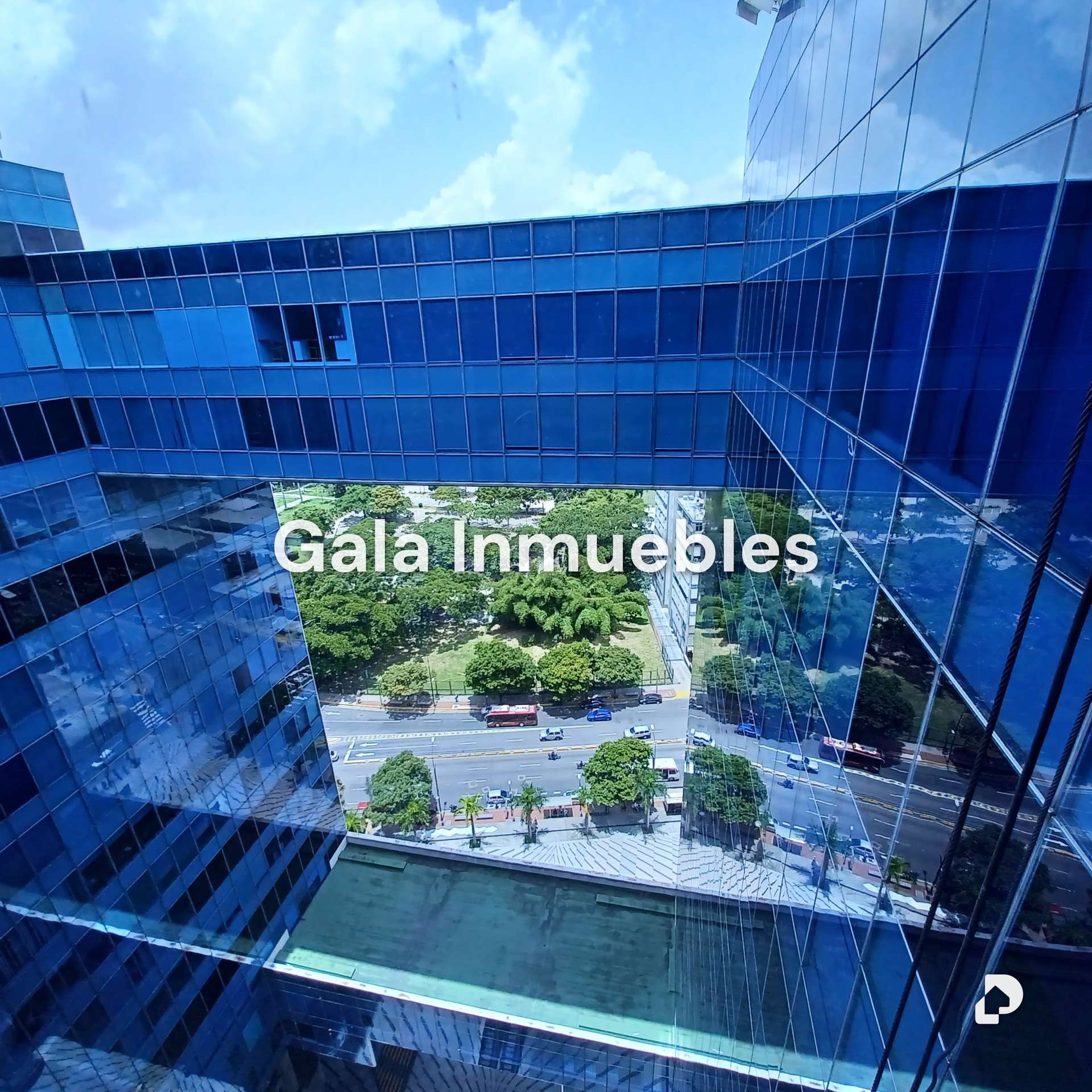 Office in Los Palos Grandes, Caracas – 7