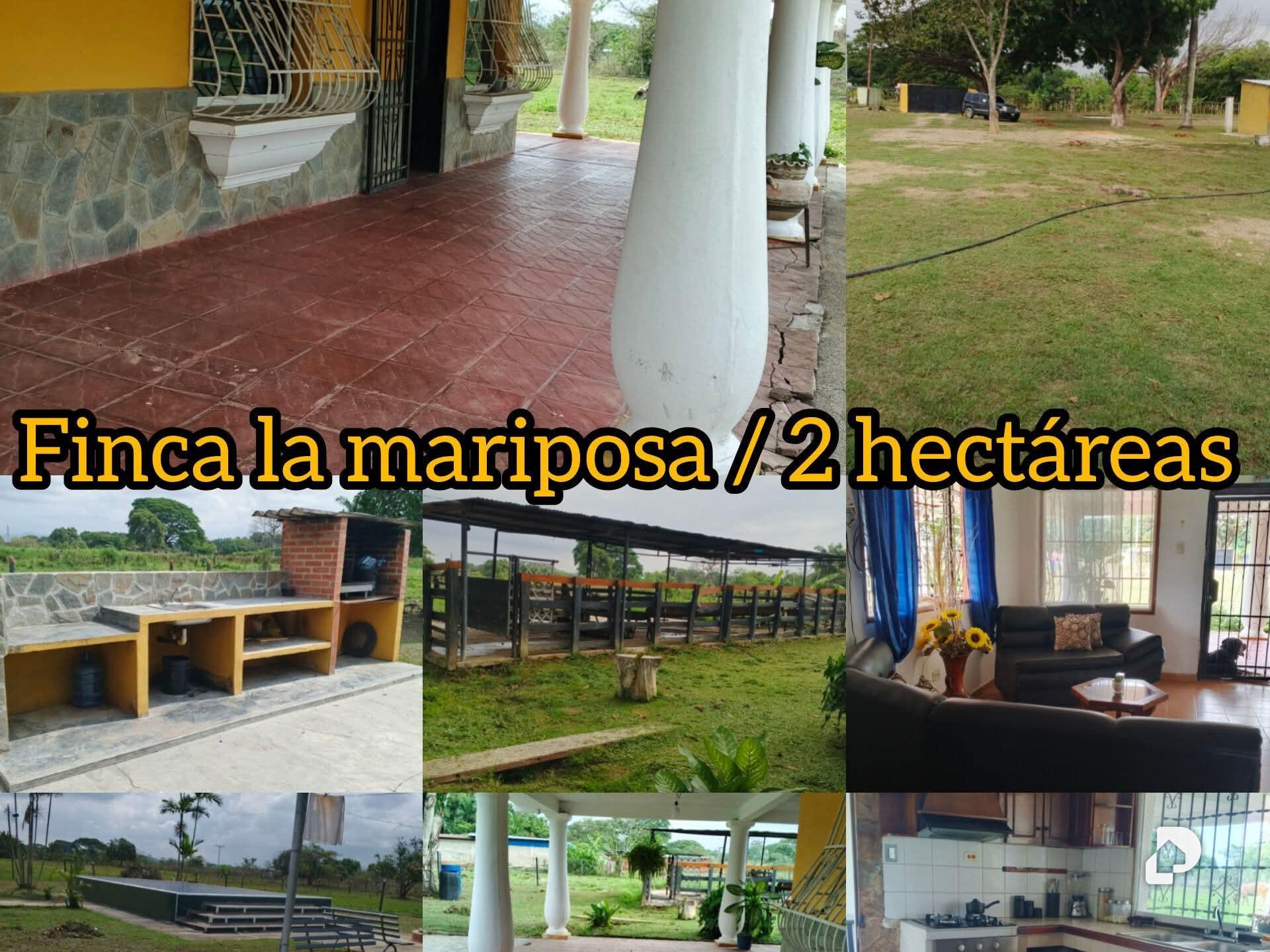 Finca en Sector la mariposa, Valencia – 1