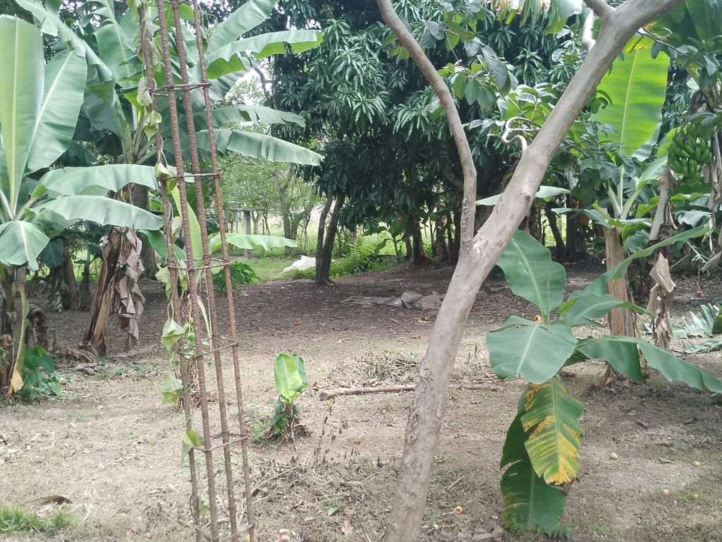 Terreno en Aguirre, Valencia - 1