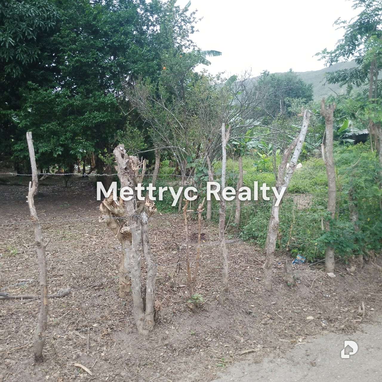 Terreno en Aguirre, Valencia – 7