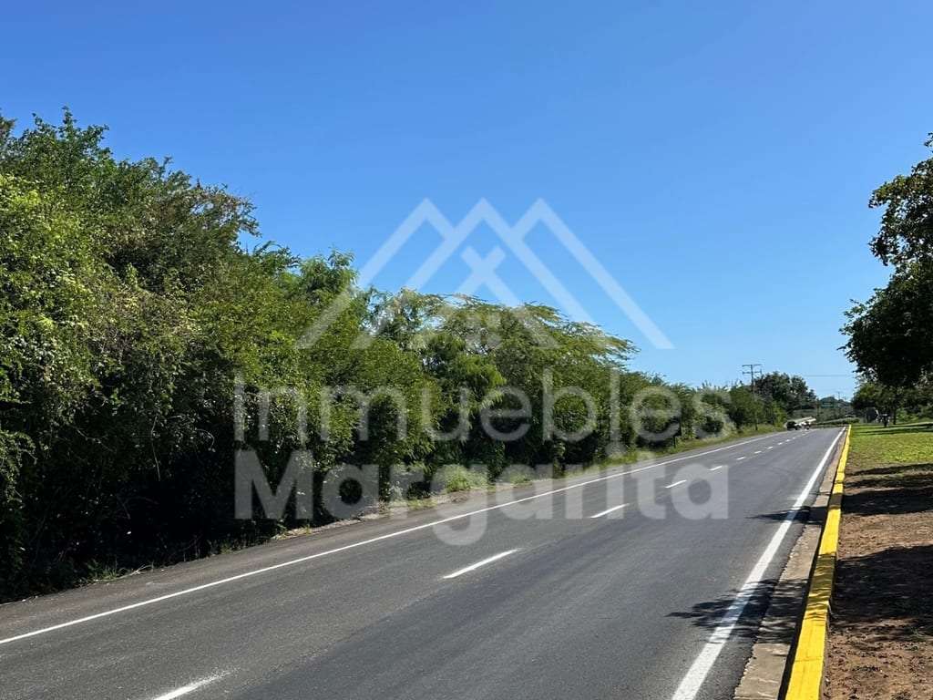 Terreno en La Asunción - 1