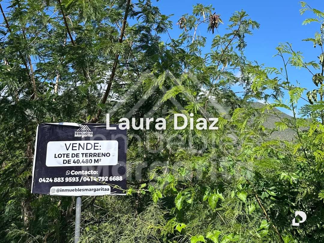 Terreno en Avenida Luisa Cáceres de Arismendi, La Asunción – 2
