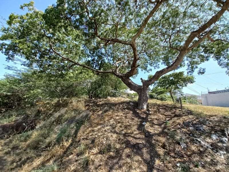 Terreno en Colinas del Turbio, Barquisimeto - 1