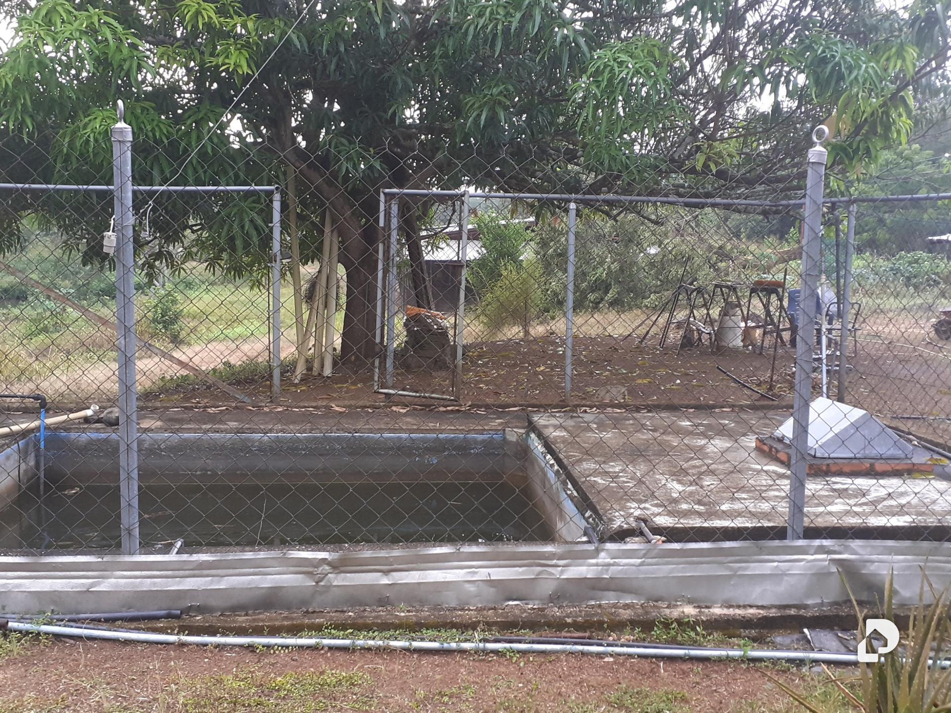 Finca en Tinaco – 4
