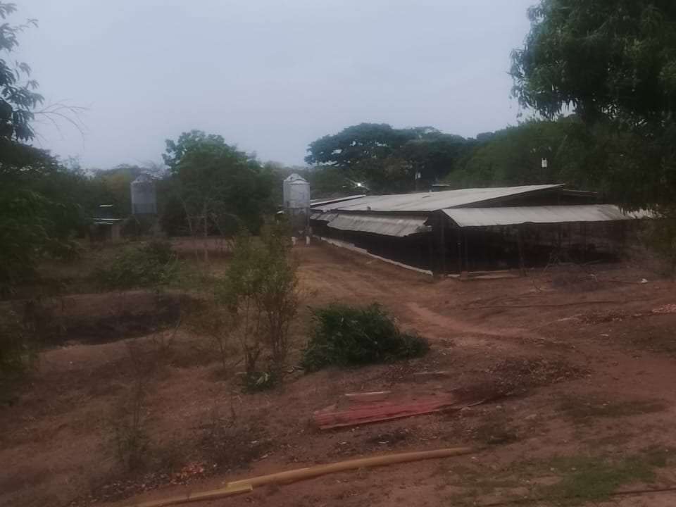 Finca en Tinaco - 1