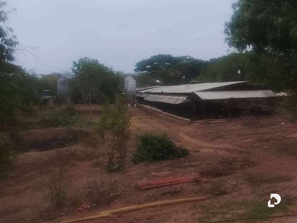 Finca en Tinaco – 1