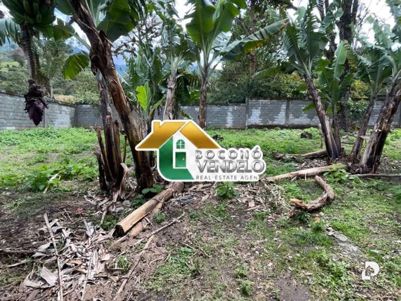 Casa en Mosquey Boconó, Bocono – 6
