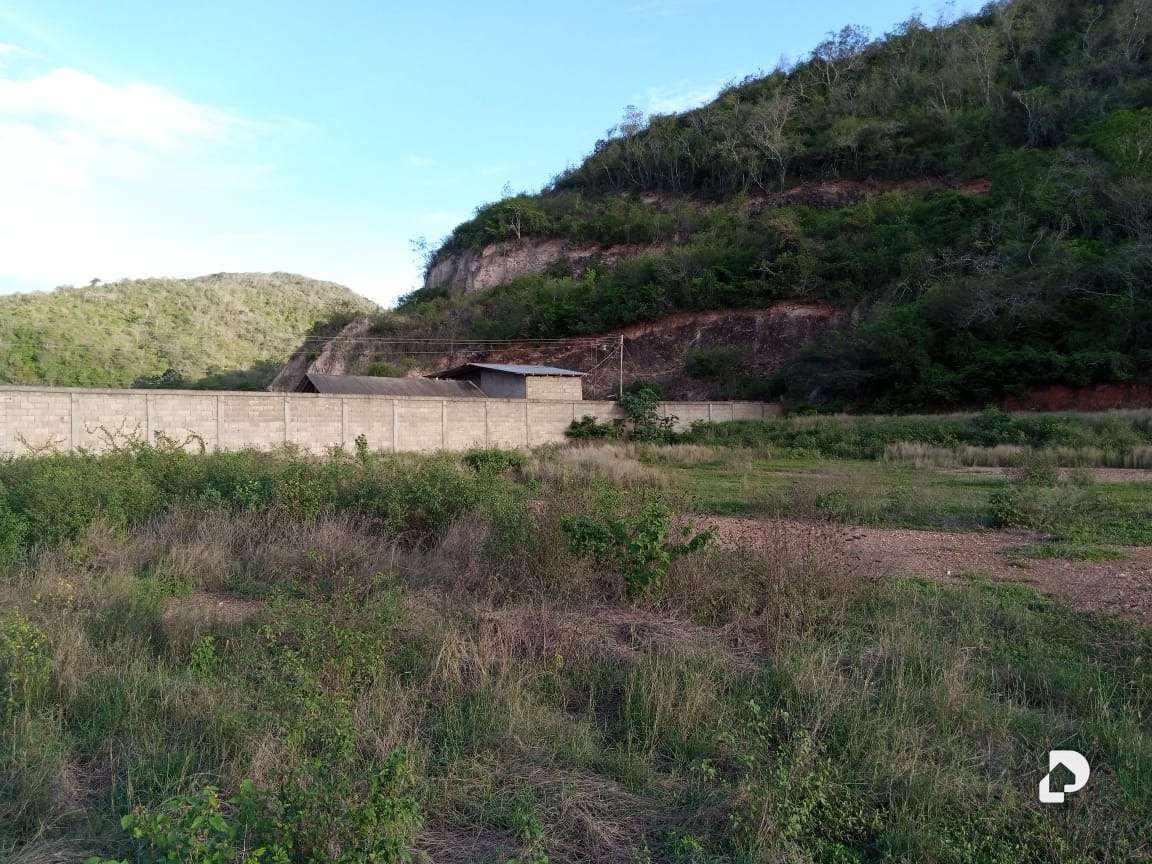 Terreno en Zona industrial de Carupano, Carúpano – 10