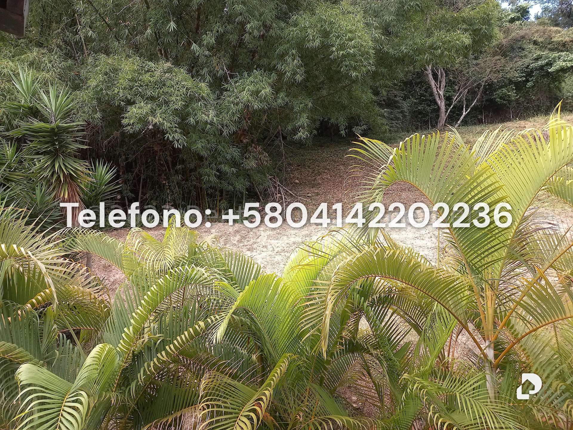 Casa en Lomas de Prados del Este, Caracas – 49