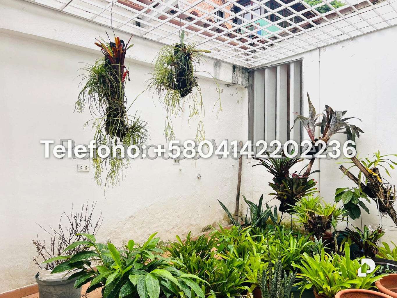 Casa en Prados del Este, Caracas – 43
