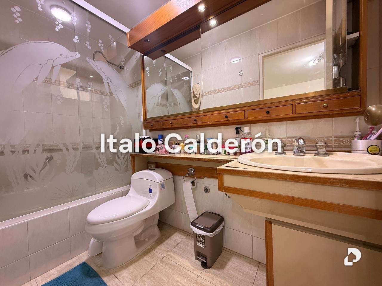 Apartment in Los Caobos, Caracas – 14
