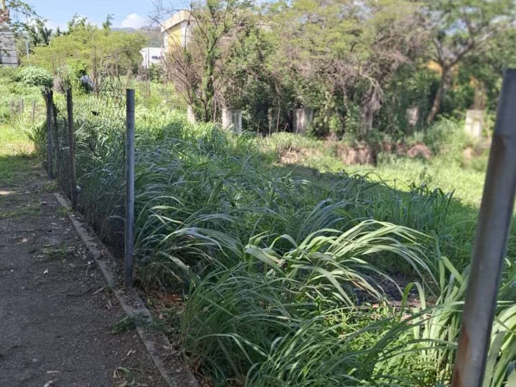 Terreno en Morichal, La Victoria - 1