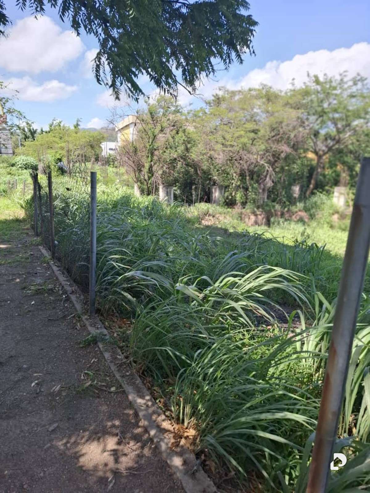 Terreno en Morichal, La Victoria – 1