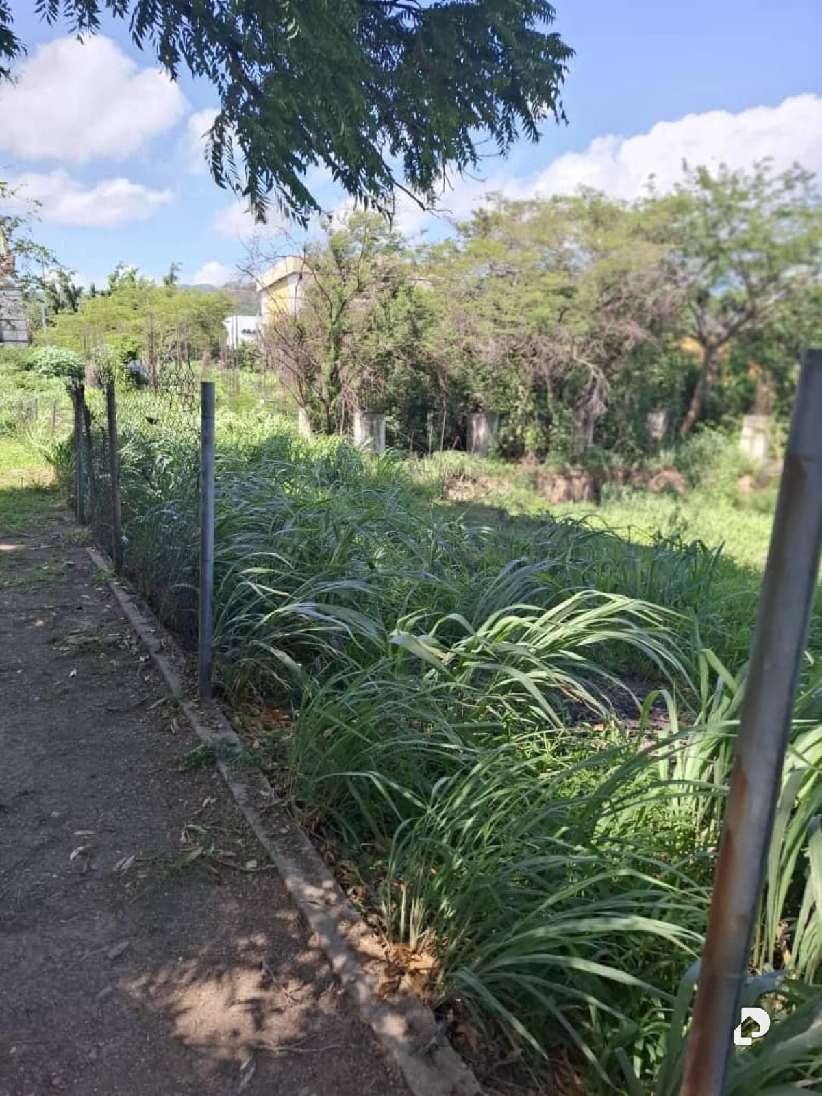 Terreno en Morichal, La Victoria – 1