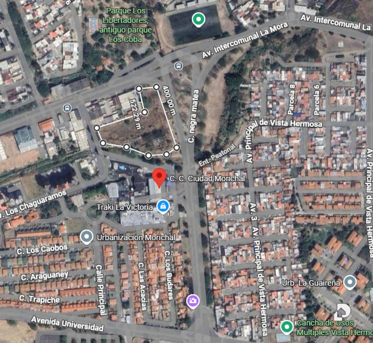 Terreno en Morichal, La Victoria – 3
