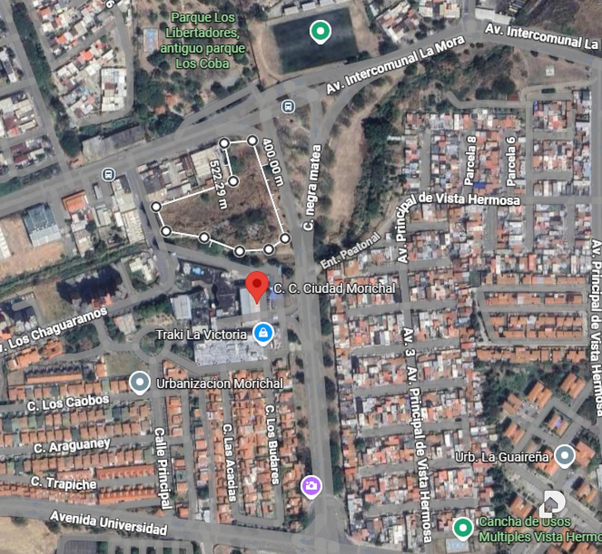 Terreno en Morichal, La Victoria – 3