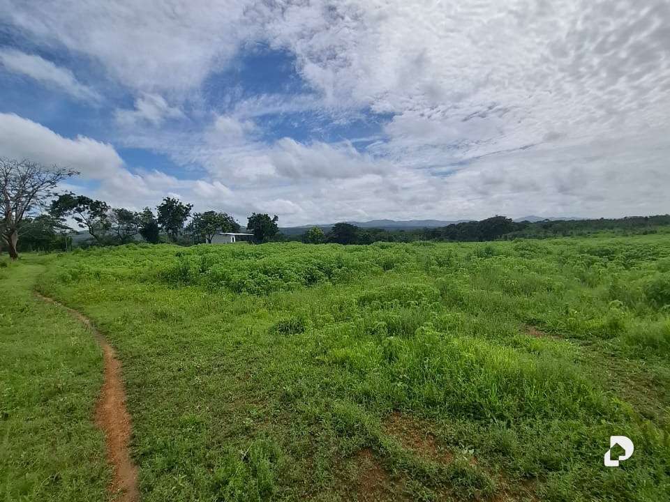 Finca en La Fe – 7