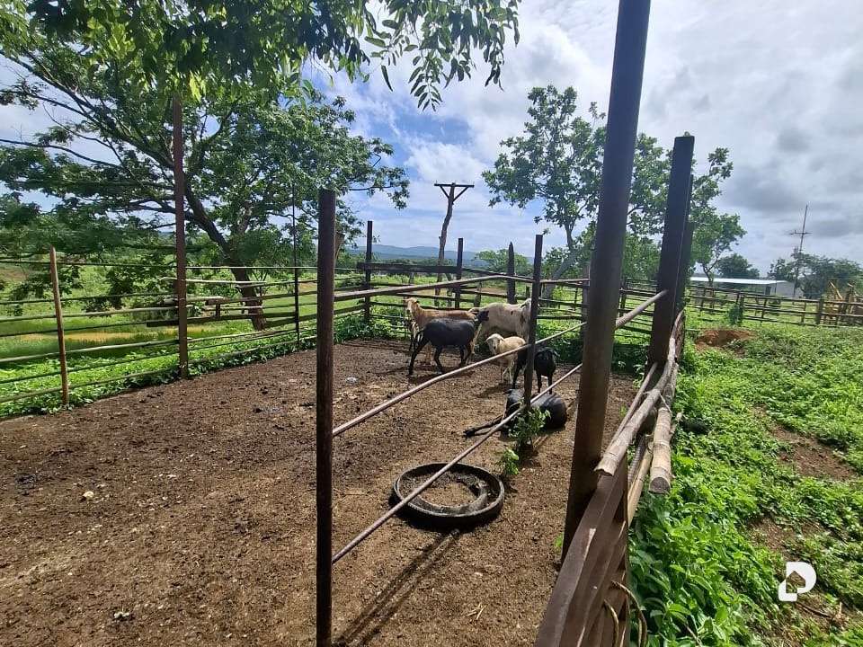 Finca en La Fe – 14