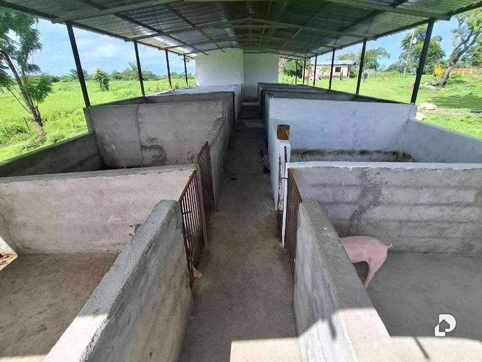 Finca en La Fe – 10
