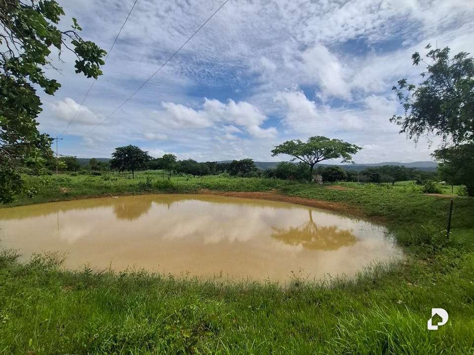 Finca en La Fe – 16