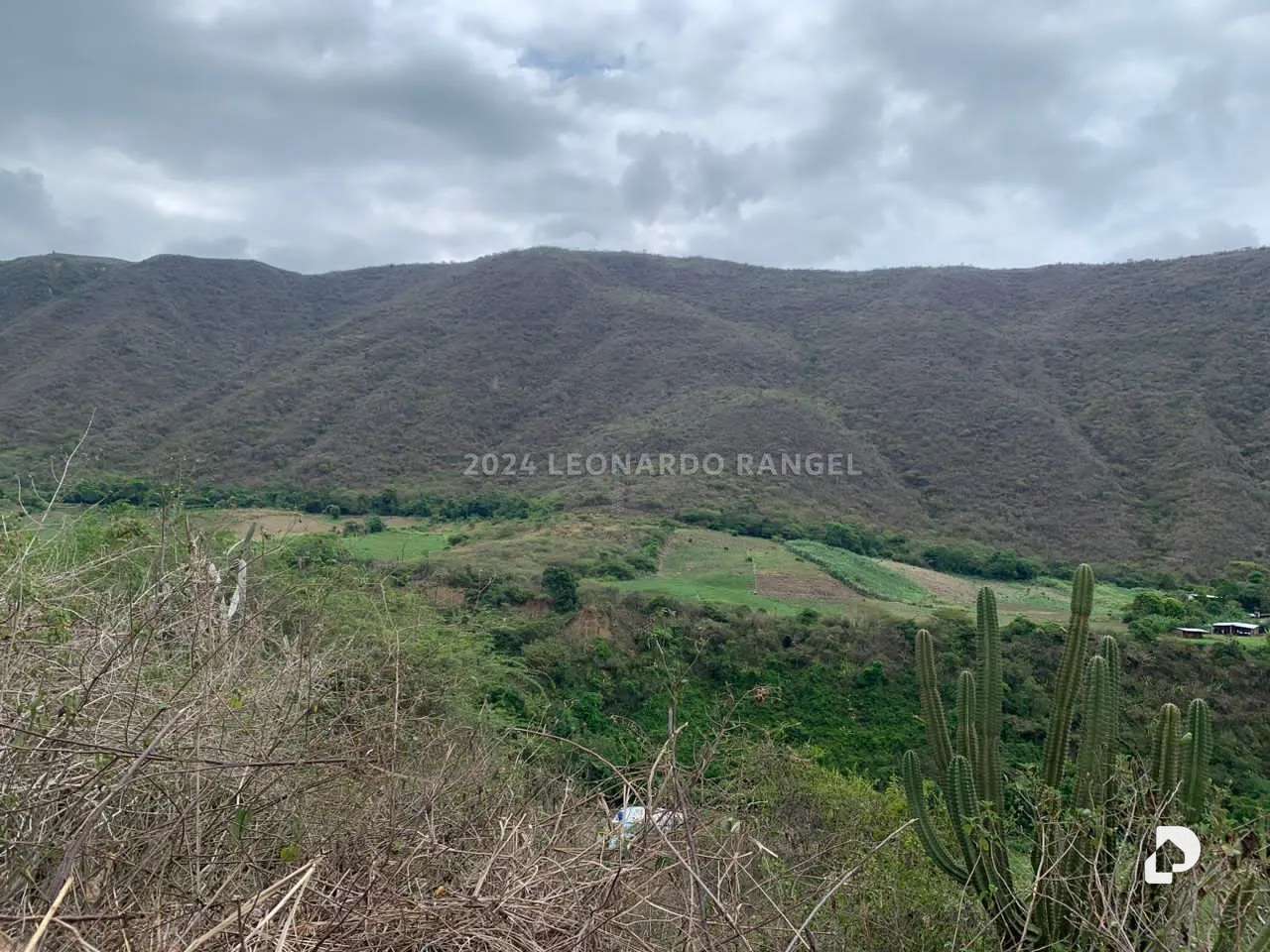 Terreno en Estánques – 7