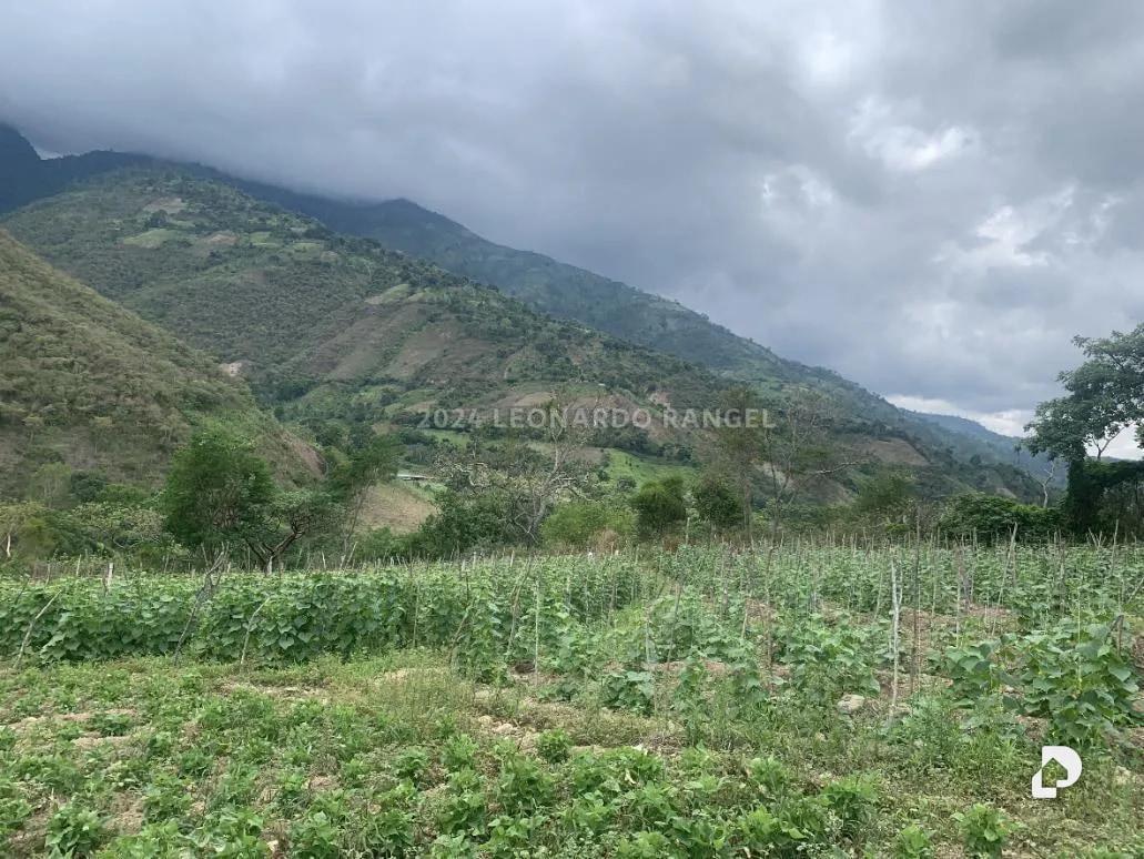 Terreno en Estánques – 3