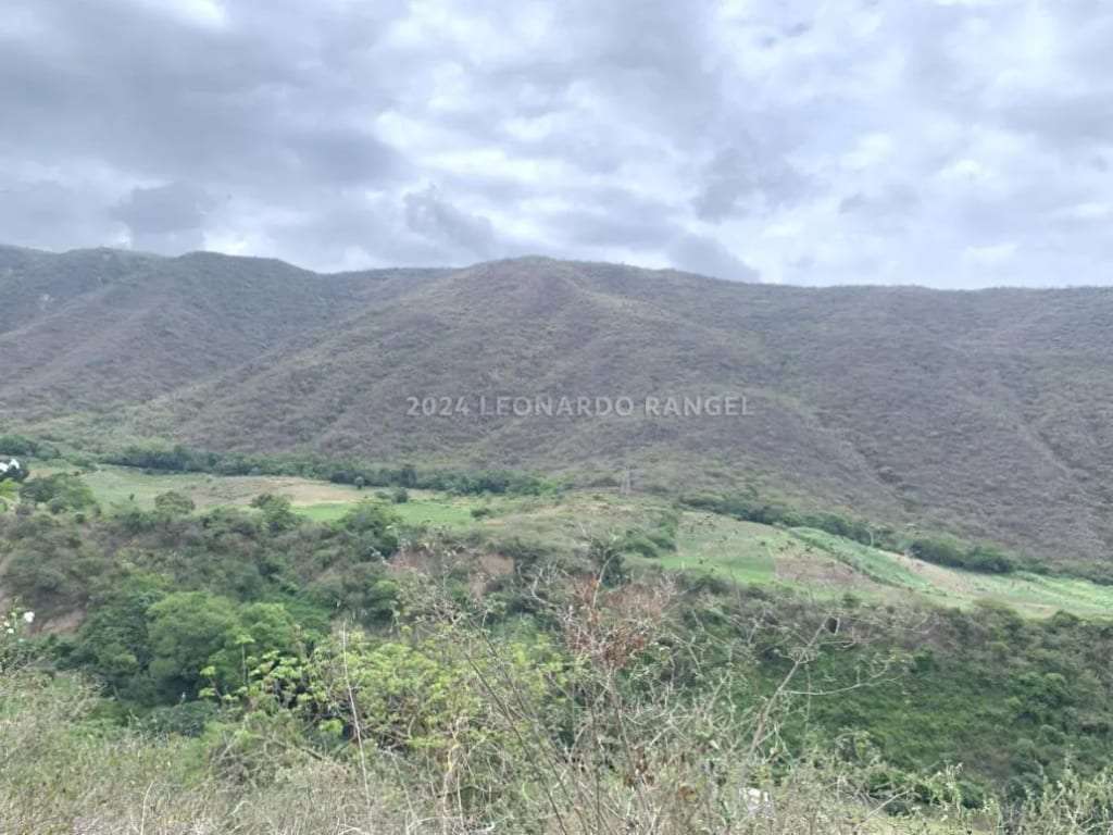 Terreno en Estánques - 1