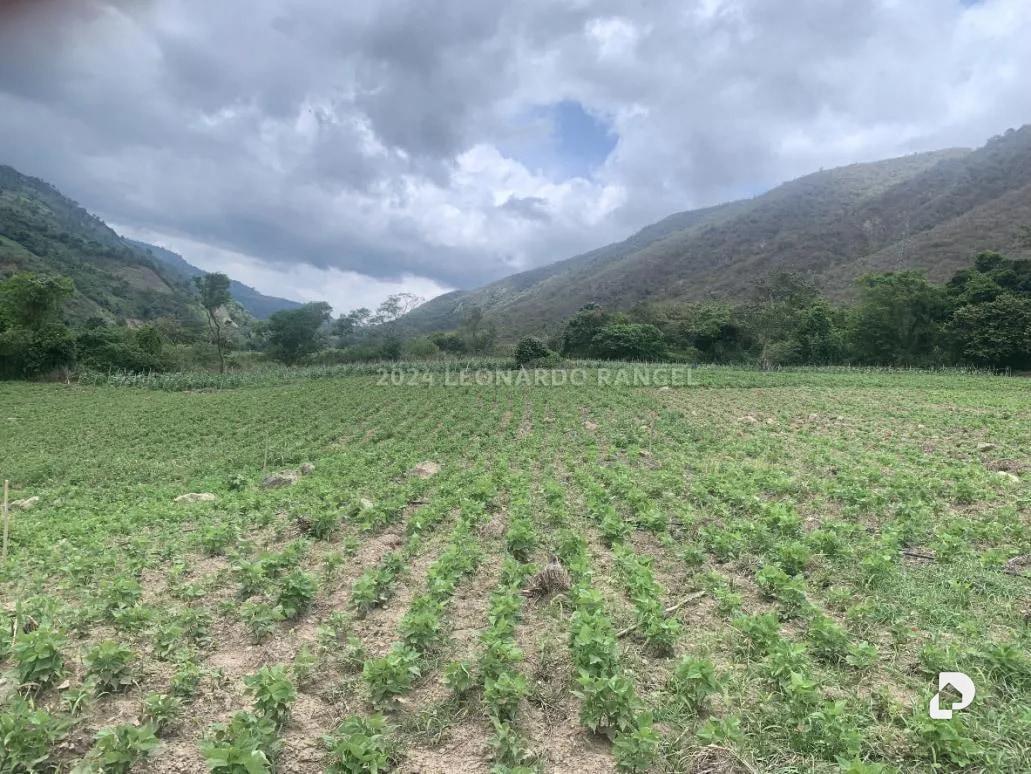 Terreno en Estánques – 2