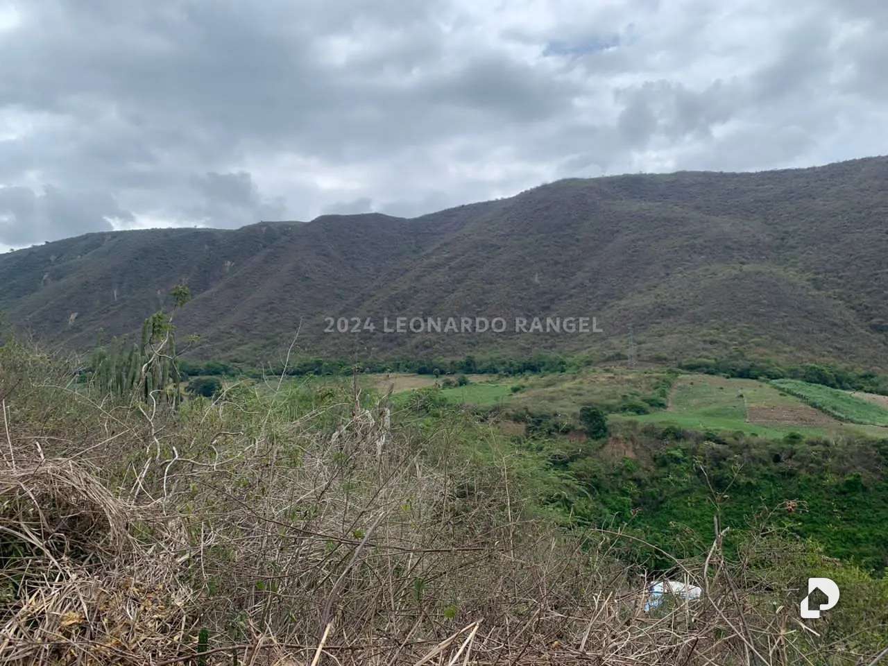Terreno en Estánques – 8