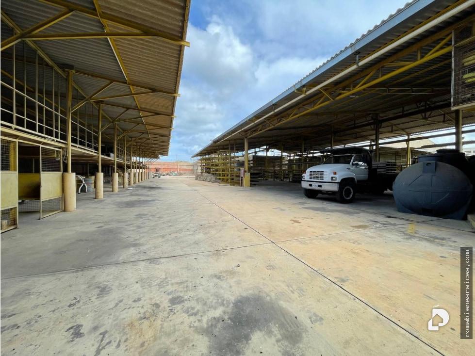 Galpón en Punto Fijo – 1