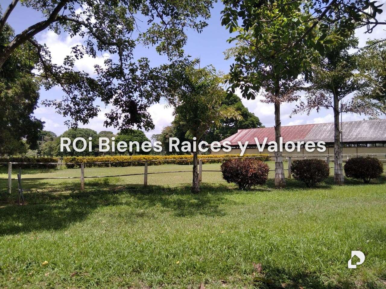 Finca en Bejuma – 10