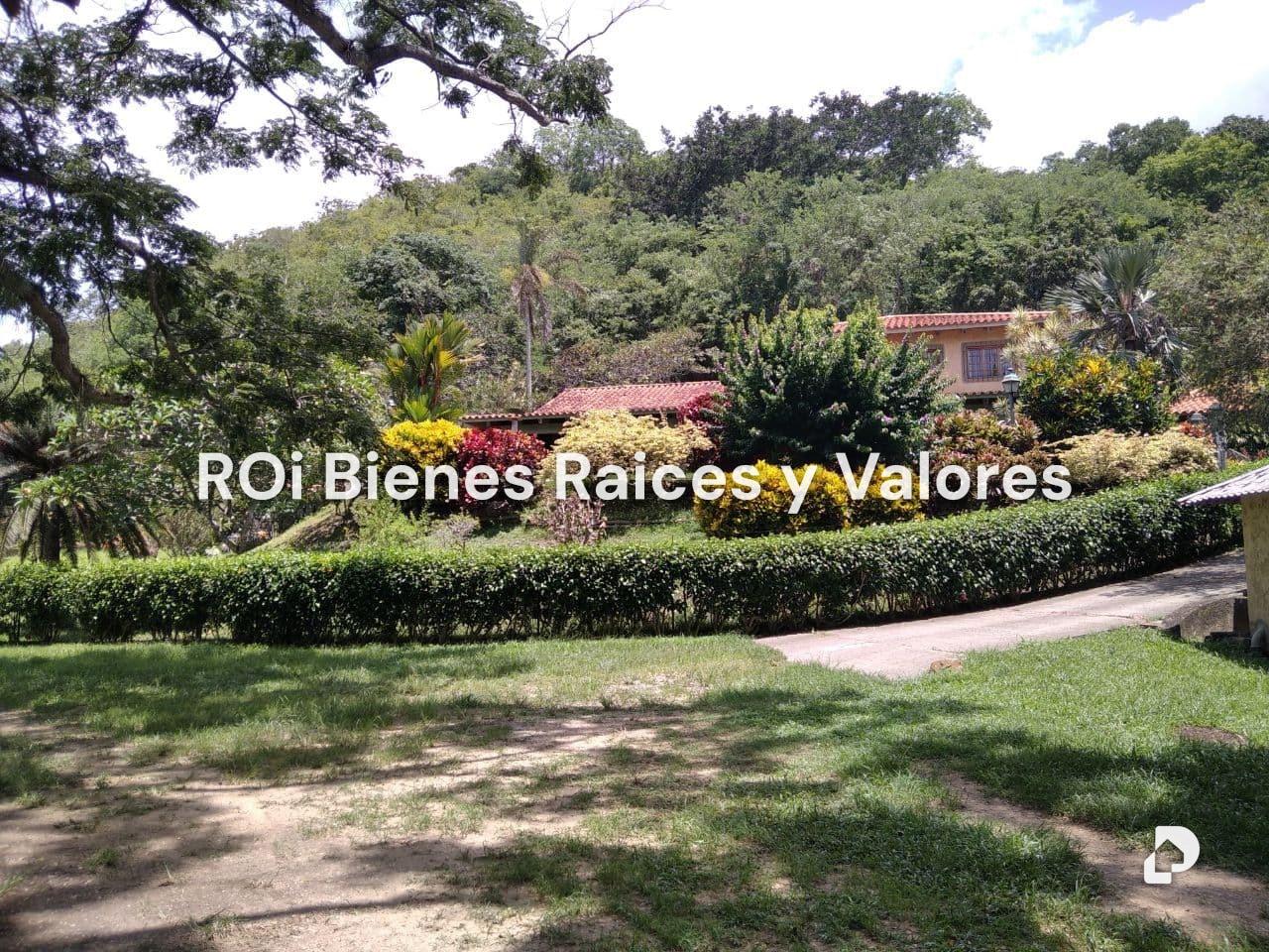 Finca en Bejuma – 1