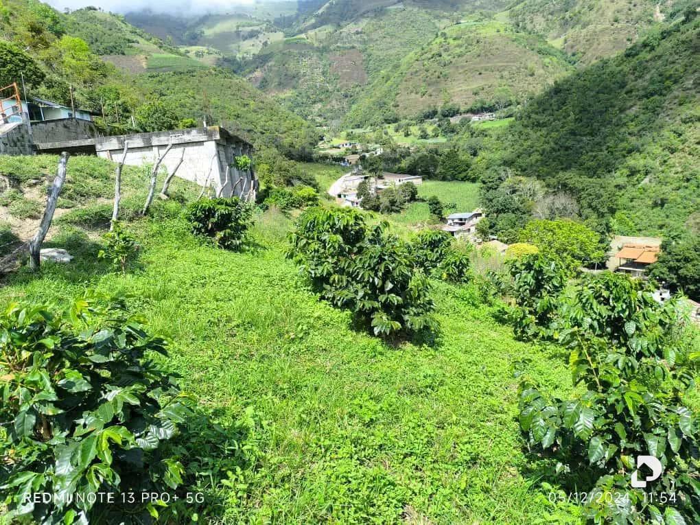 Finca en Mesa de Adrián, Bailadores – 4