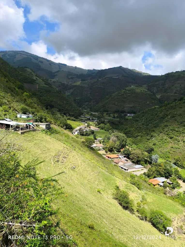 Finca en Mesa de Adrián, Bailadores – 11