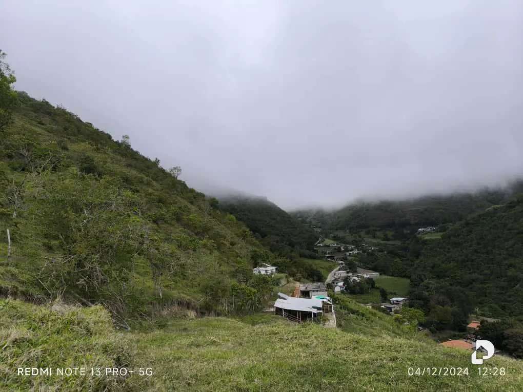 Finca en Mesa de Adrián, Bailadores – 31