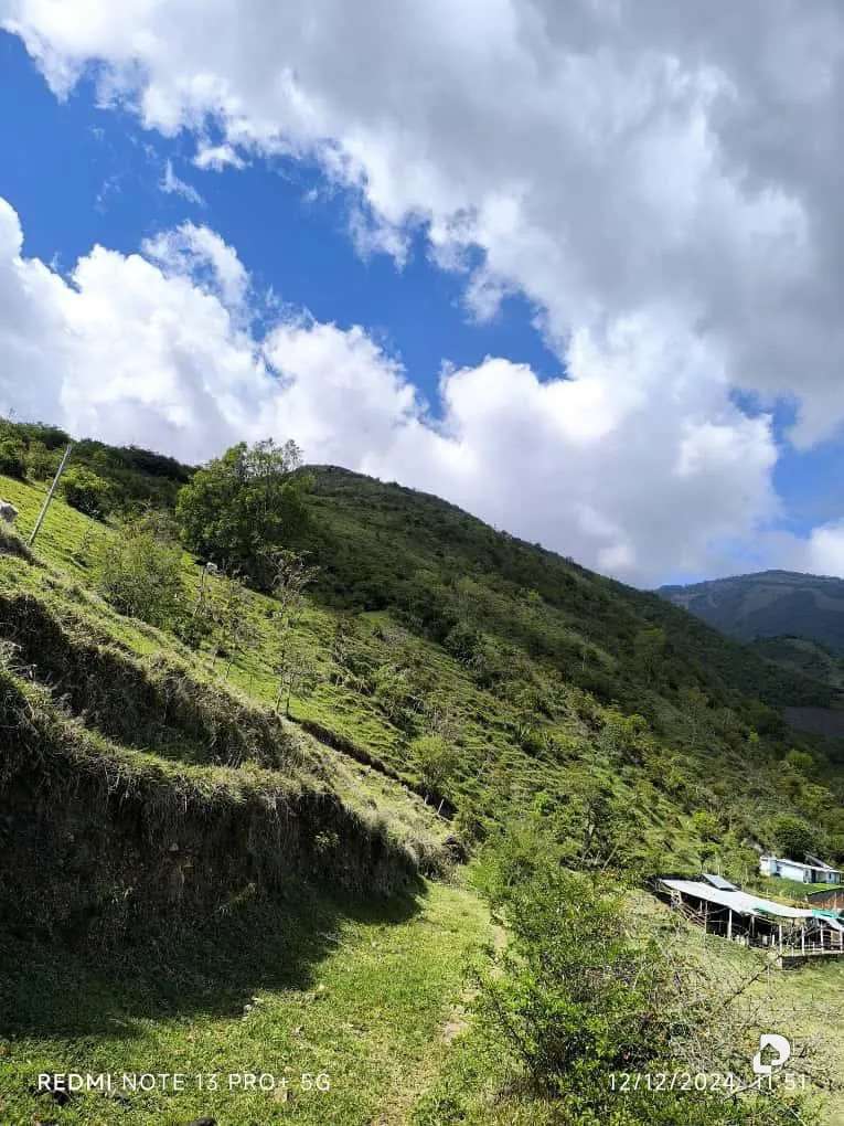 Finca en Mesa de Adrián, Bailadores – 23