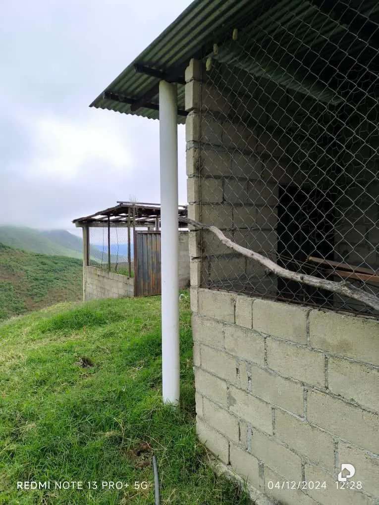 Finca en Mesa de Adrián, Bailadores – 17