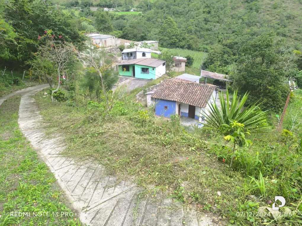 Finca en Mesa de Adrián, Bailadores – 26