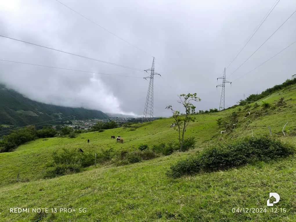 Finca en Mesa de Adrián, Bailadores – 21