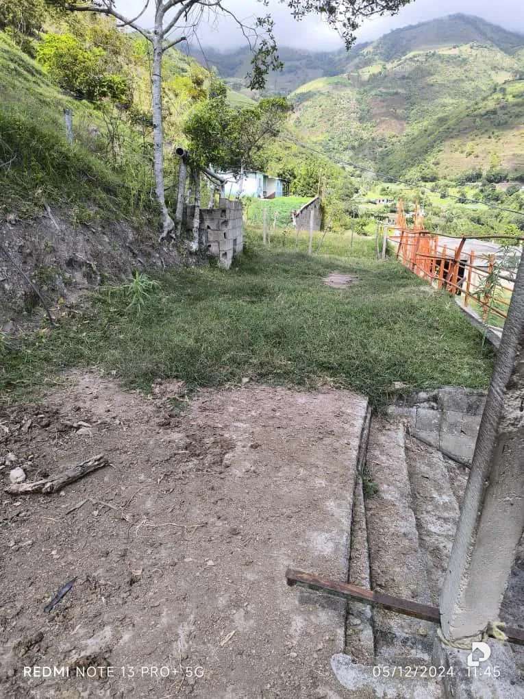 Finca en Mesa de Adrián, Bailadores – 16