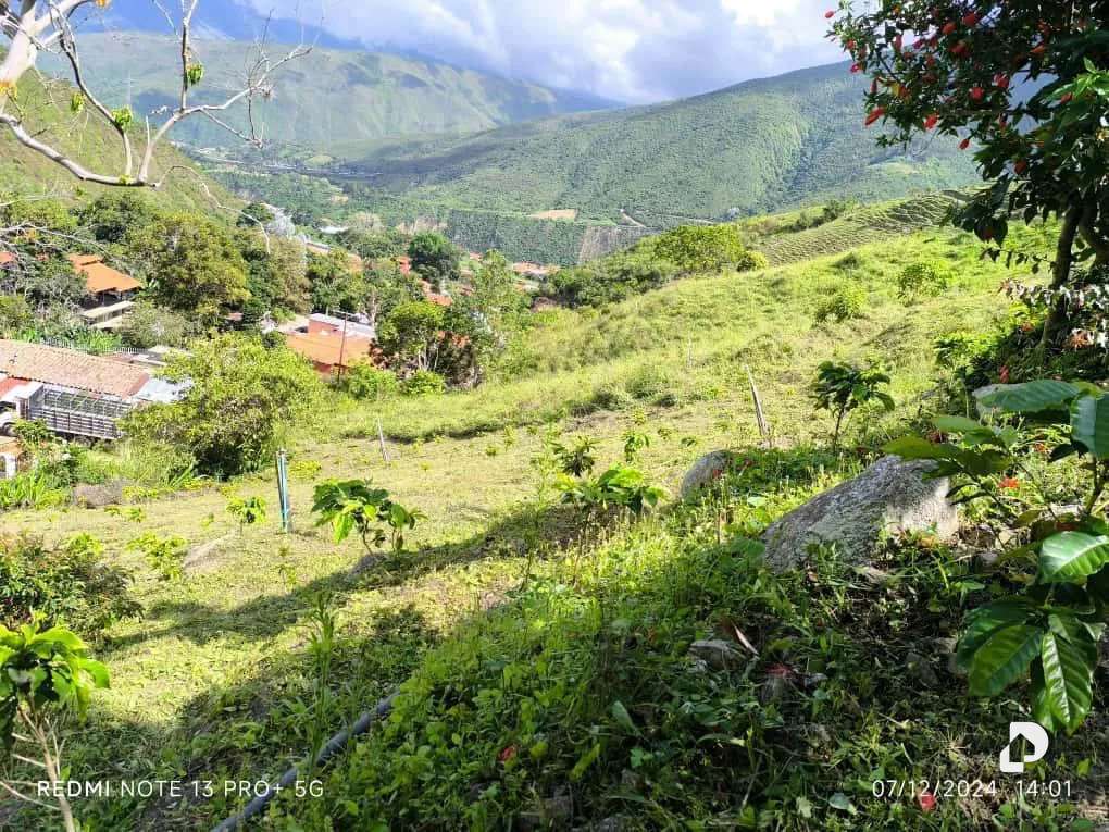 Finca en Mesa de Adrián, Bailadores – 29