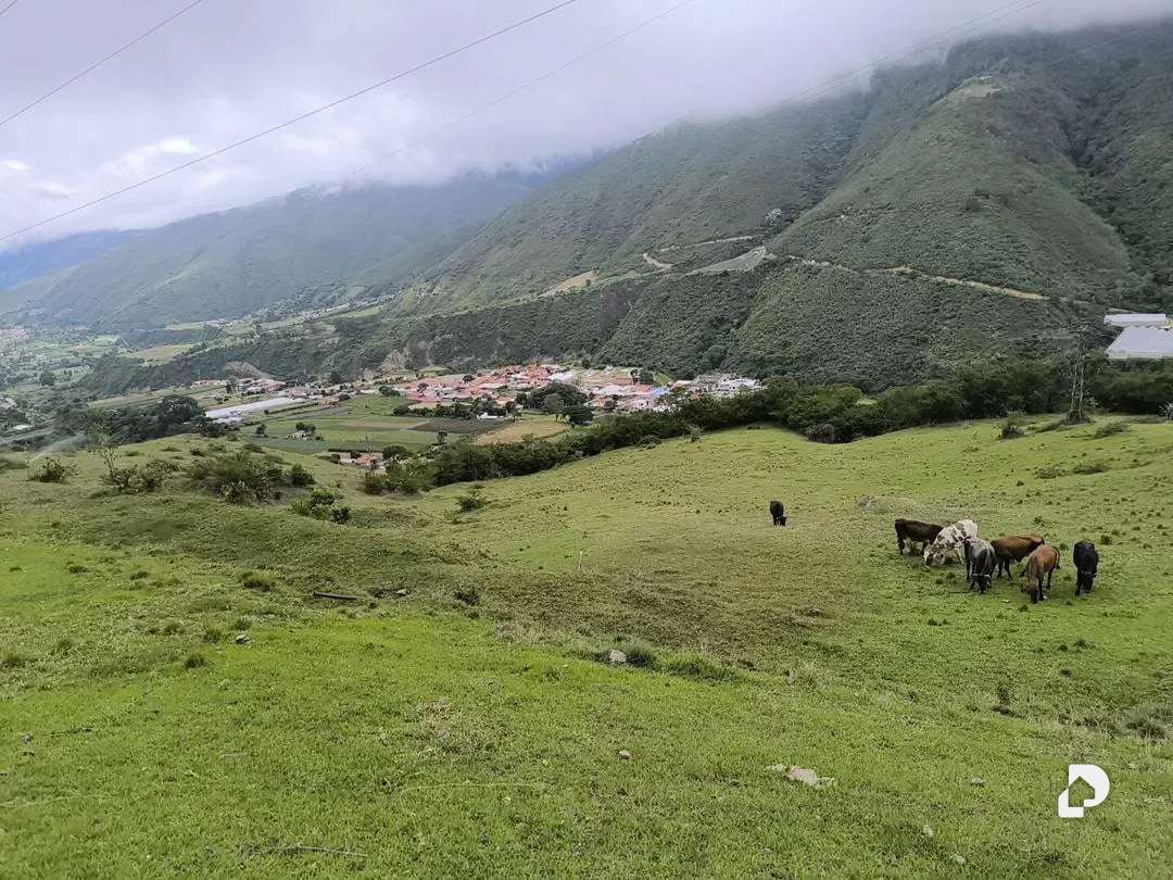 Finca en Mesa de Adrián, Bailadores – 10