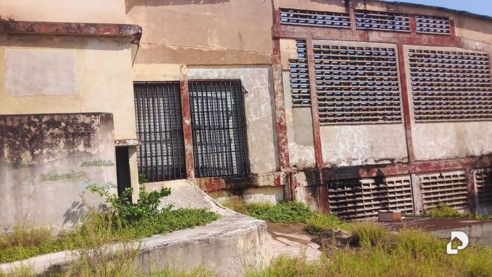 Galpón en Los Haticos, Maracaibo – 1