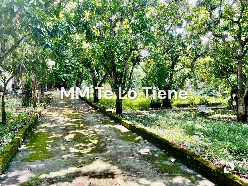 Terreno en Los Chorros, Caracas – 6