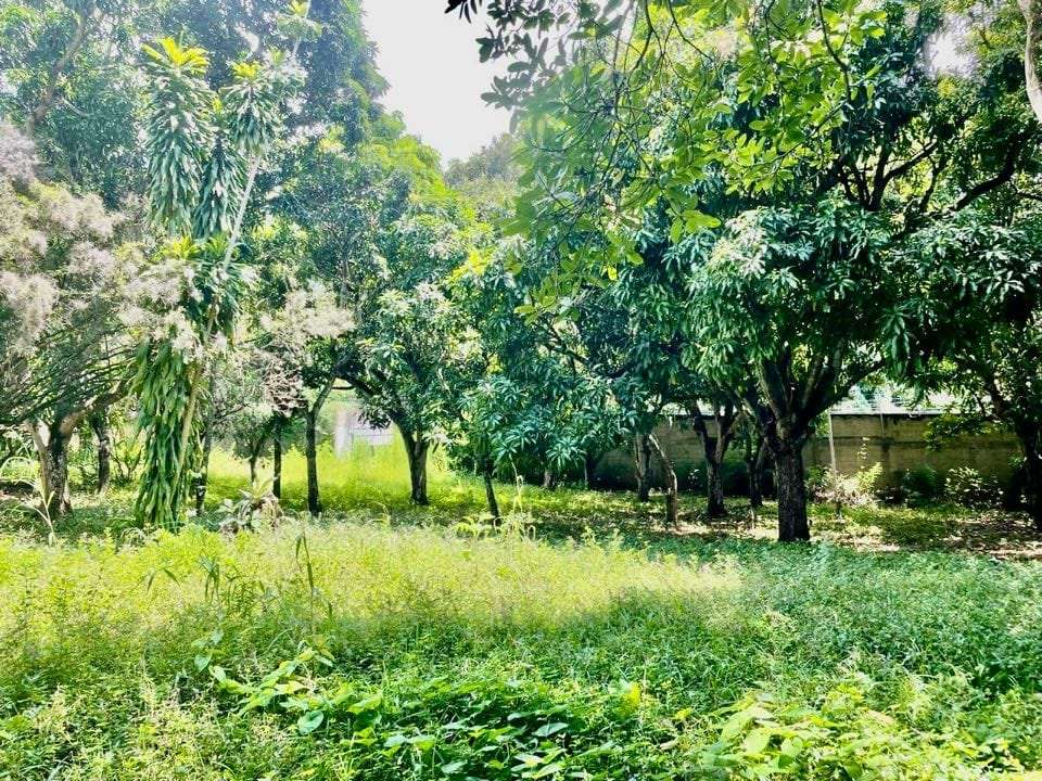 Terreno en Los Chorros, Caracas - 1